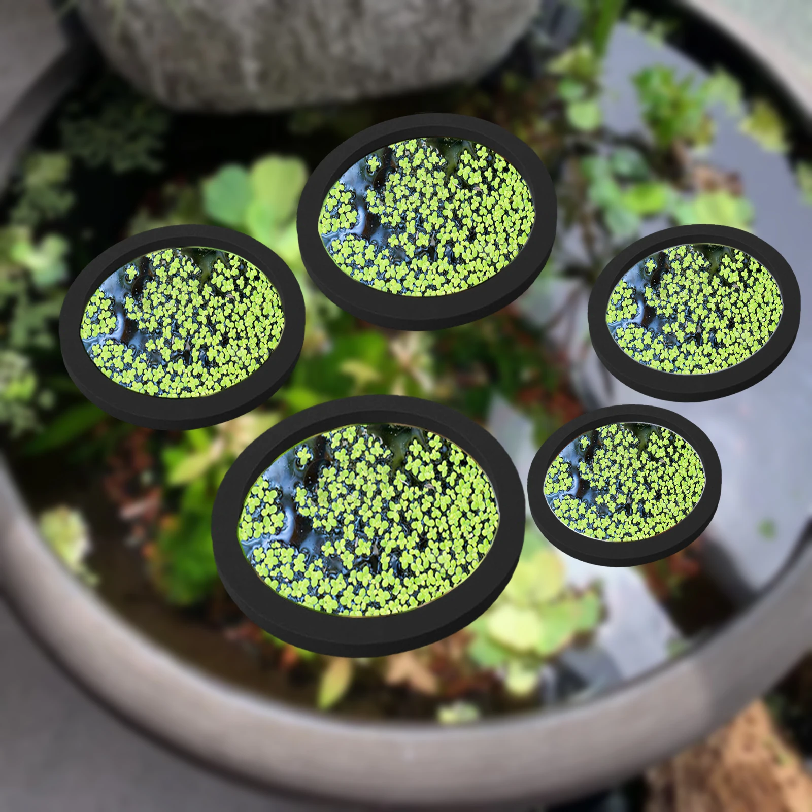 Aquarium Plants - 5Pcs EVA Fisch Fütterung Ring Aquarium