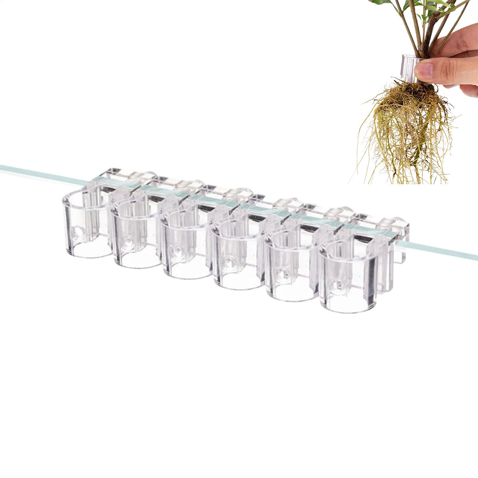 Aquarium Plant Diseases - Pflanzenhalter für Aquarien, 6 Stück, transparente