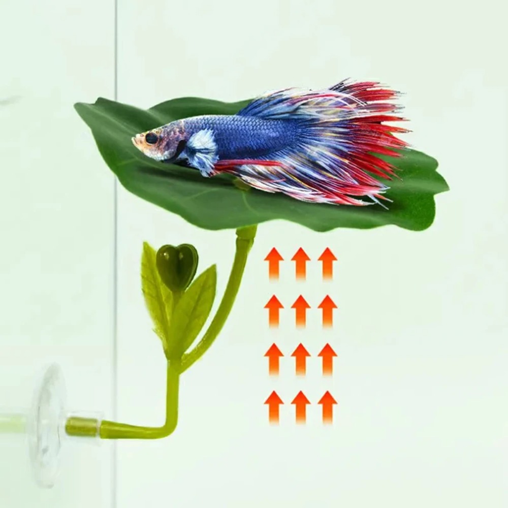 Planted Aquarium Betta - 1 Stück Grüne Blatt-Betta-Fisch-Hängematte, stressreduzierende, aquariensichere