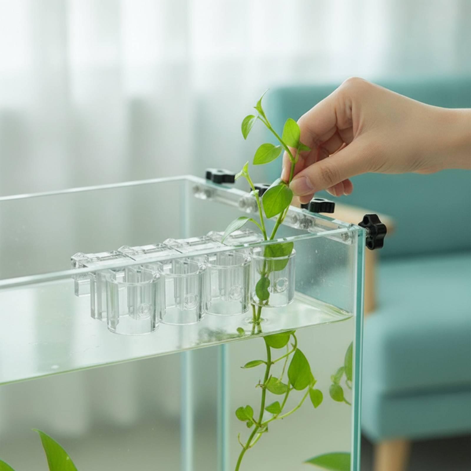 6 Stück Aquarium-Pflanzhalter, – Aquarium Plants Bewertung und Preis