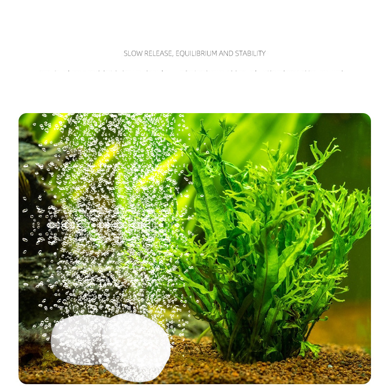 ISTA Aquarium Aquarium CO2 Tab – Planted Aquarium Without Co2 Bewertung und Preis