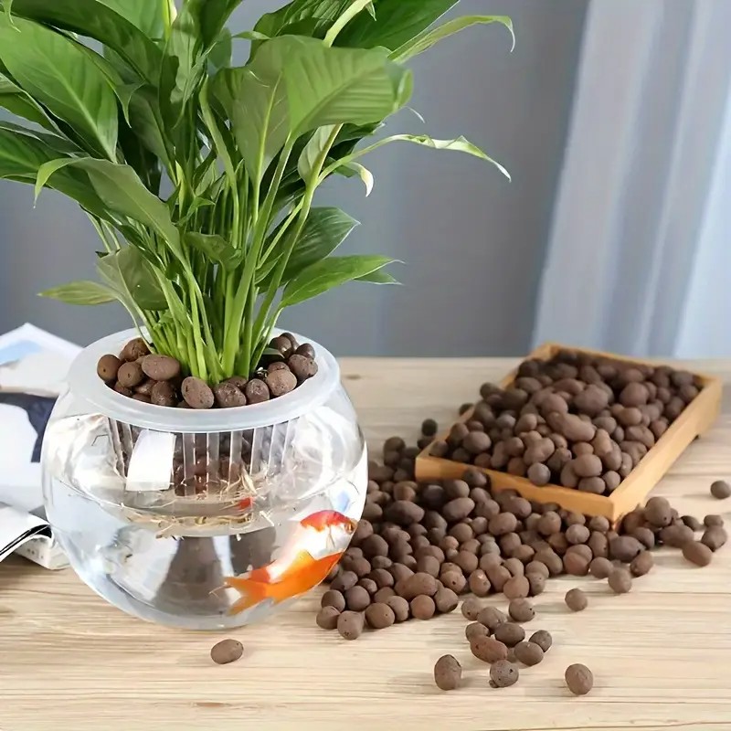 Leichte und atmungsaktive Terr – Aquarium Plants Bewertung und Preis