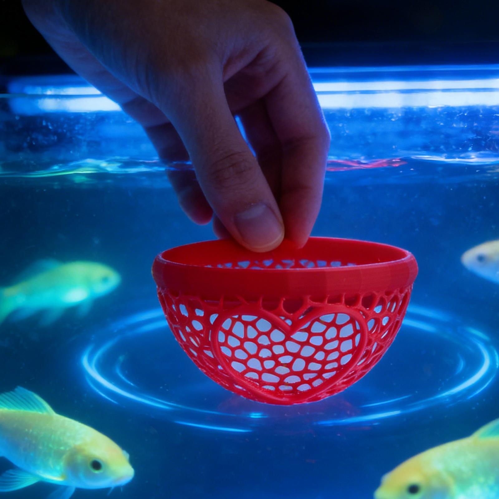 Schwimmende Betta-Höhle Betta- – Planted Aquarium Betta Bewertung und Preis
