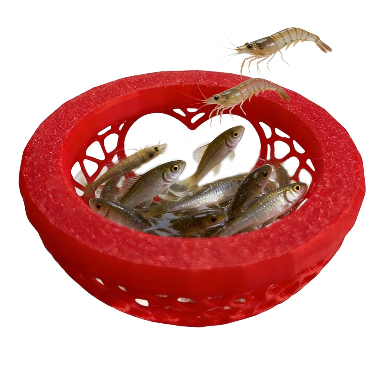 Schwimmende Betta-Höhle Betta- – Planted Aquarium Betta Bewertung und Preis