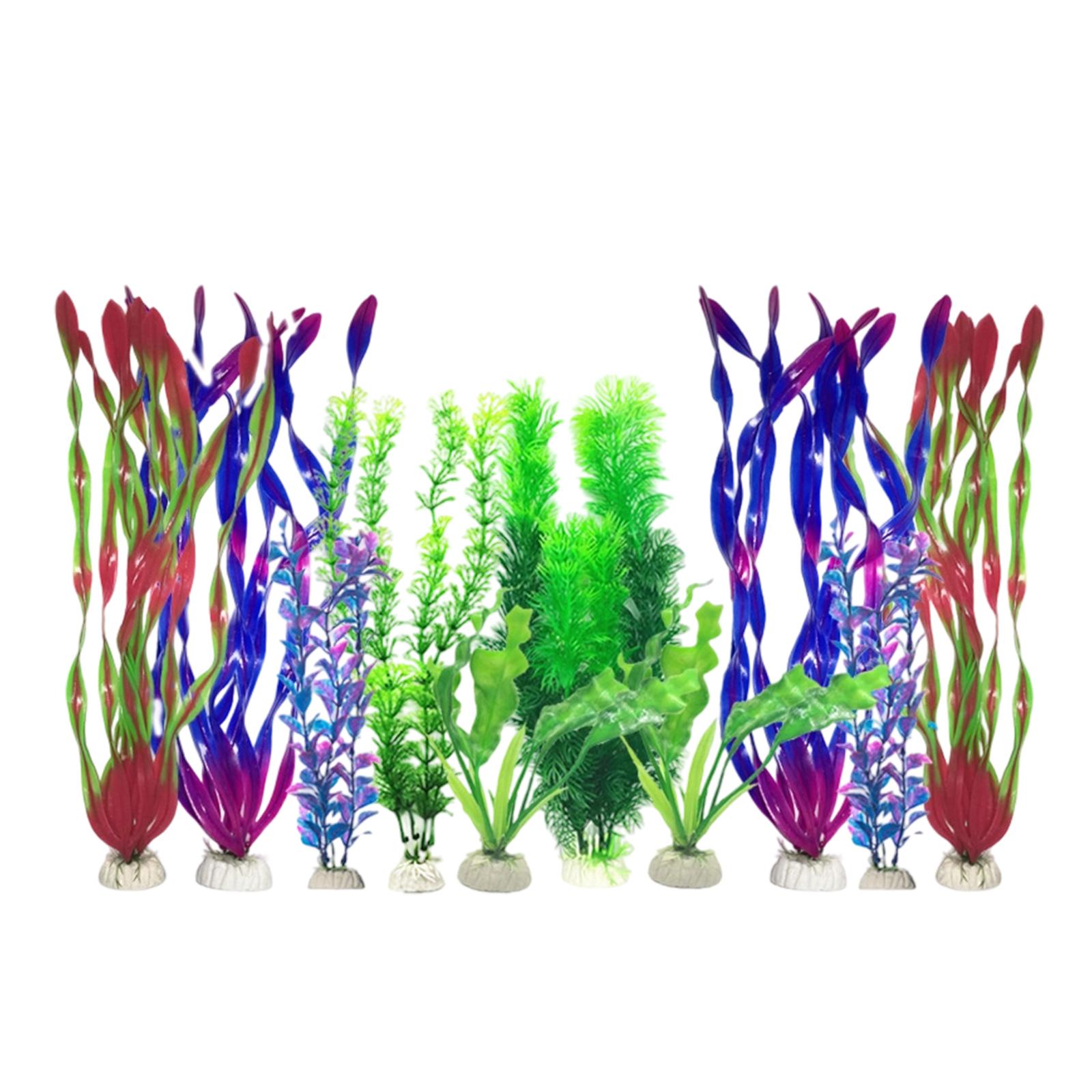 Künstliche Aquariumpflanzen-Se – Planted Aquarium Betta Bewertung und Preis