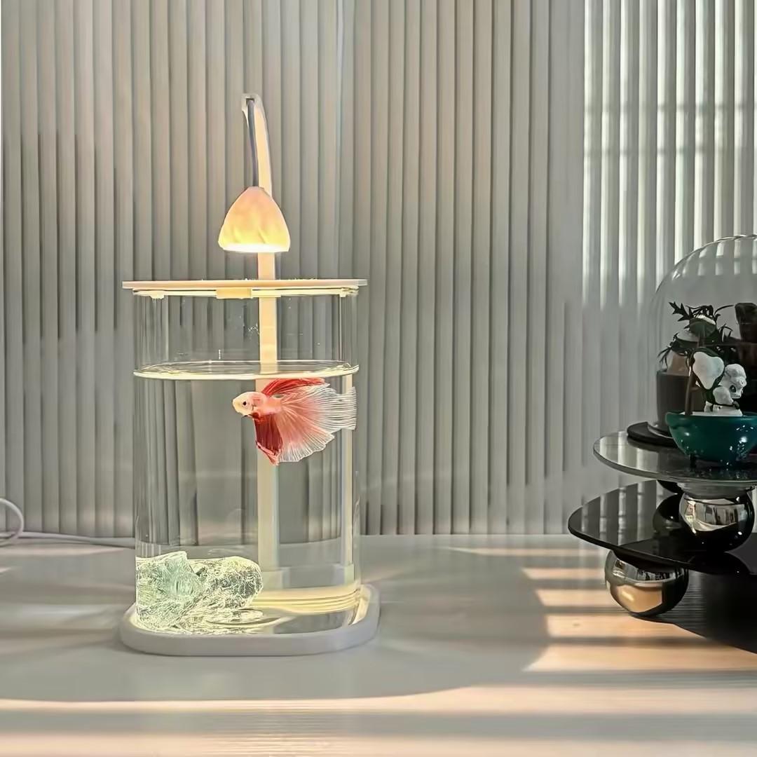 360 °   Panoramisches Klares D – Planted Aquarium Betta Bewertung und Preis