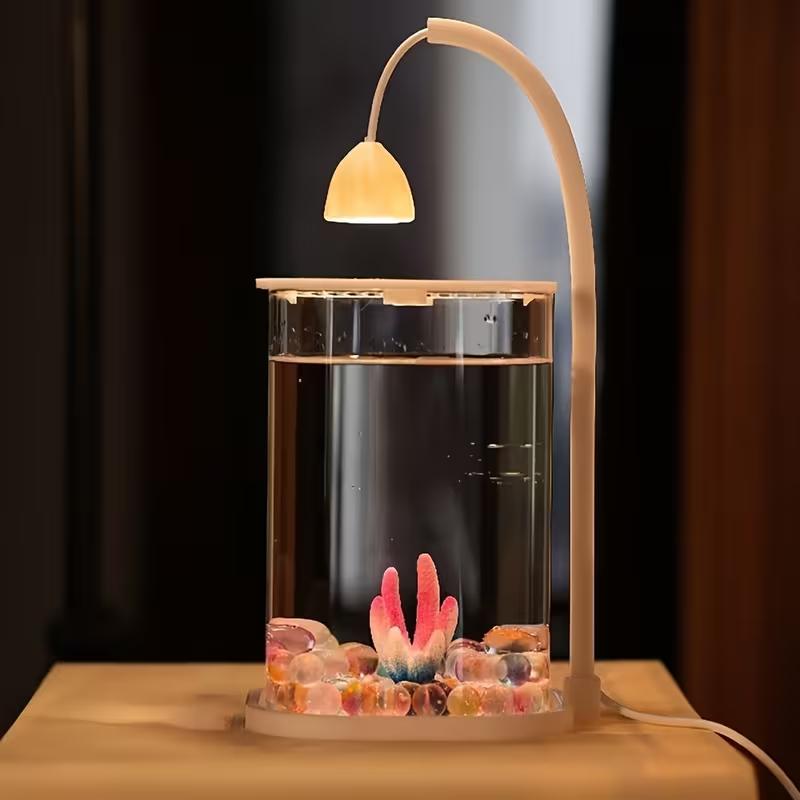 360 °   Panoramisches Klares D – Planted Aquarium Betta Bewertung und Preis