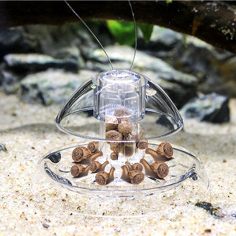 1 Stück Aquarium Aquarium Rein – Planted Aquarium Products Bewertung und Preis