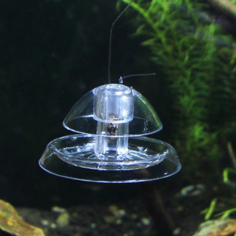1 Stück Aquarium Aquarium Rein – Planted Aquarium Products Bewertung und Preis
