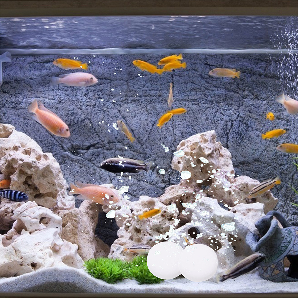 3 Beutel CO2-Tabletten Effekti – Aquarium Plant Nutrients Bewertung und Preis