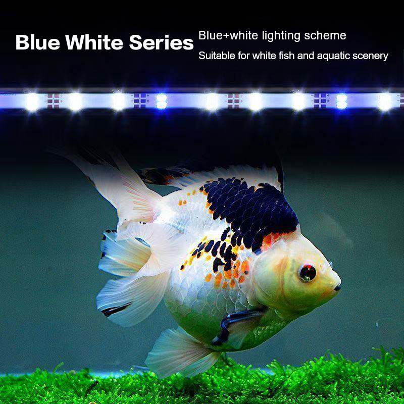 17-47CM USB Stecker Aquarium L – Aquarium Plant Diseases Bewertung und Preis