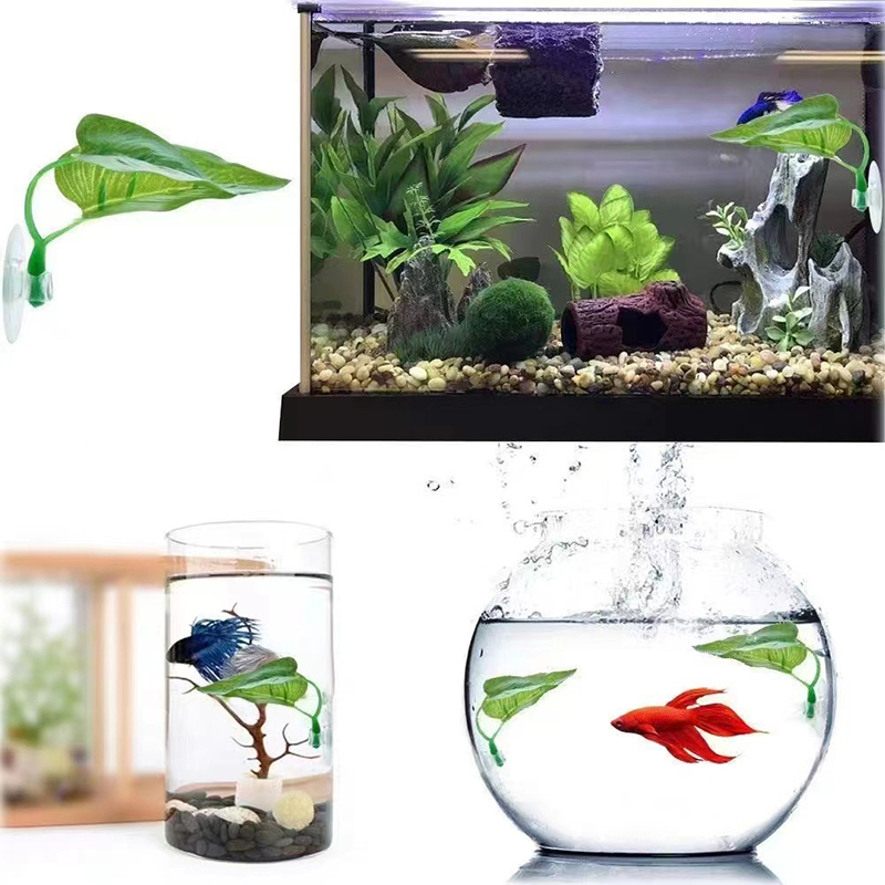 Künstliche Wasserpflanze für A – Planted Aquarium Betta Bewertung und Preis