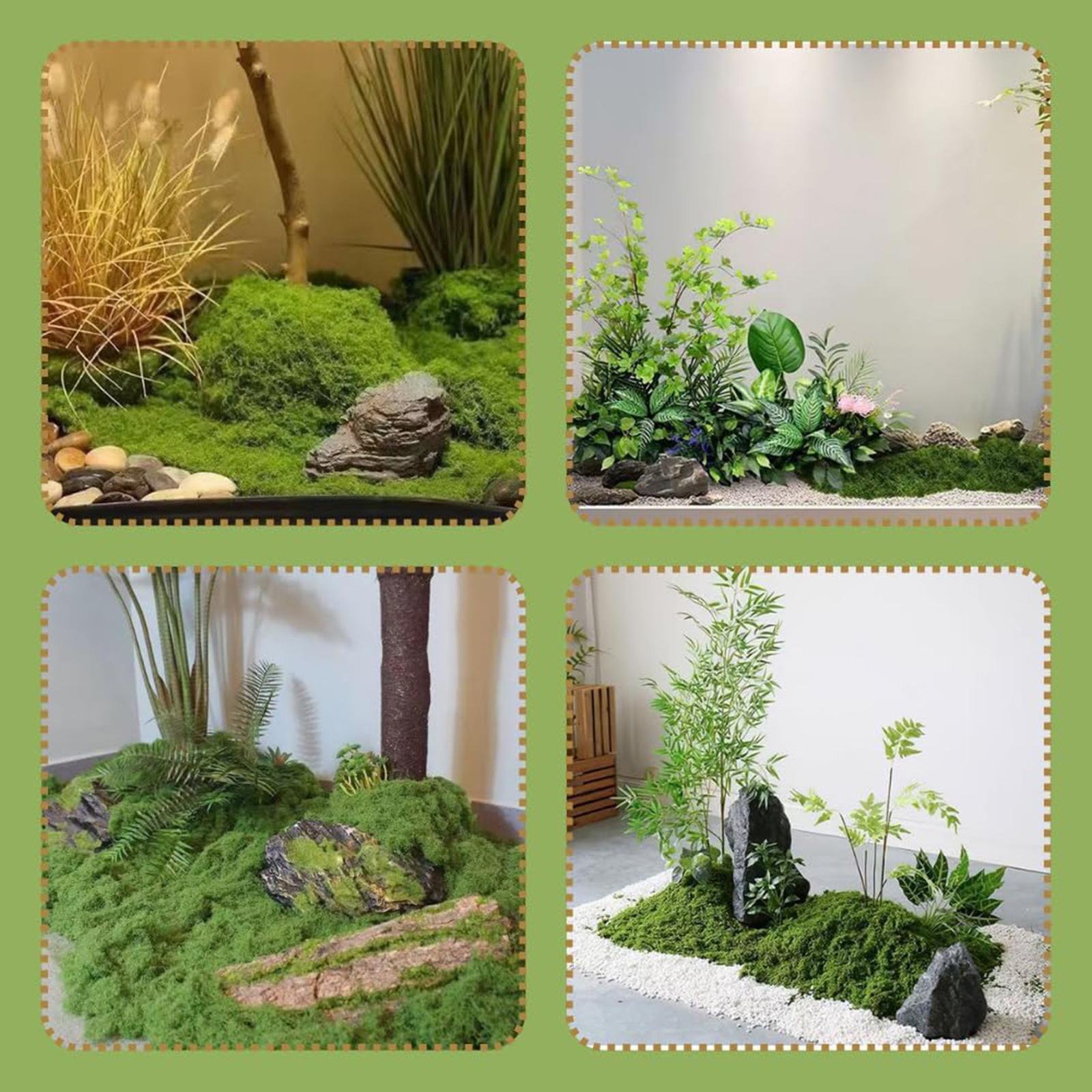 Künstliche Grünpflanzen für Au – Planted Aquarium Products Bewertung und Preis