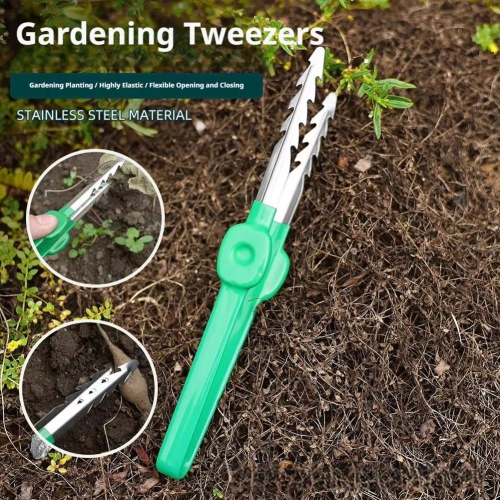Stainless Steel Gardening Twee – Planted Clip Tweezers Bewertung und Preis