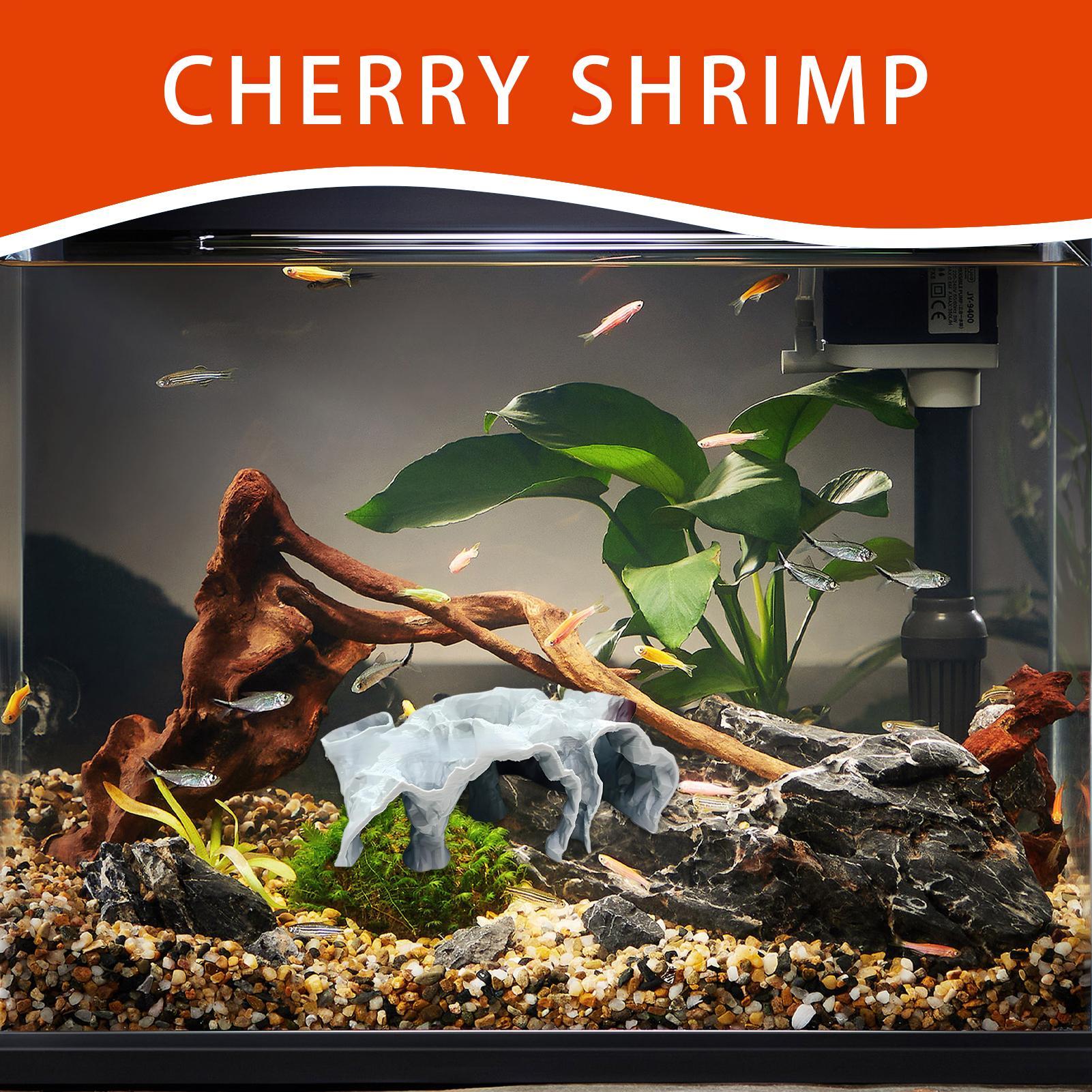 Aquarium-Höhle Unterwasser-Tun – Planted Aquarium Betta Bewertung und Preis