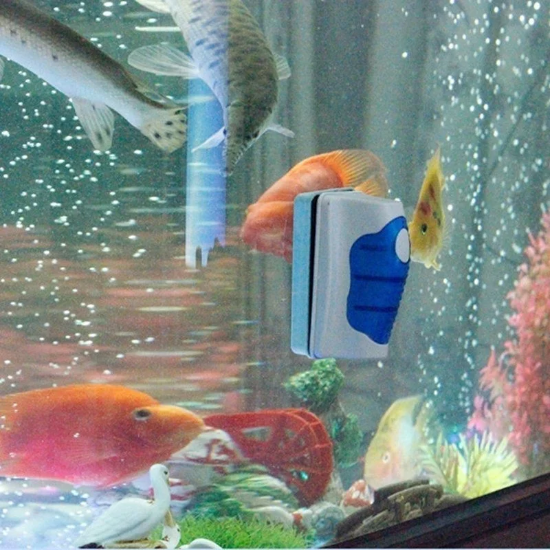 Aquarium Glas Schaber Reiniger – Planted Aquarium Products Bewertung und Preis