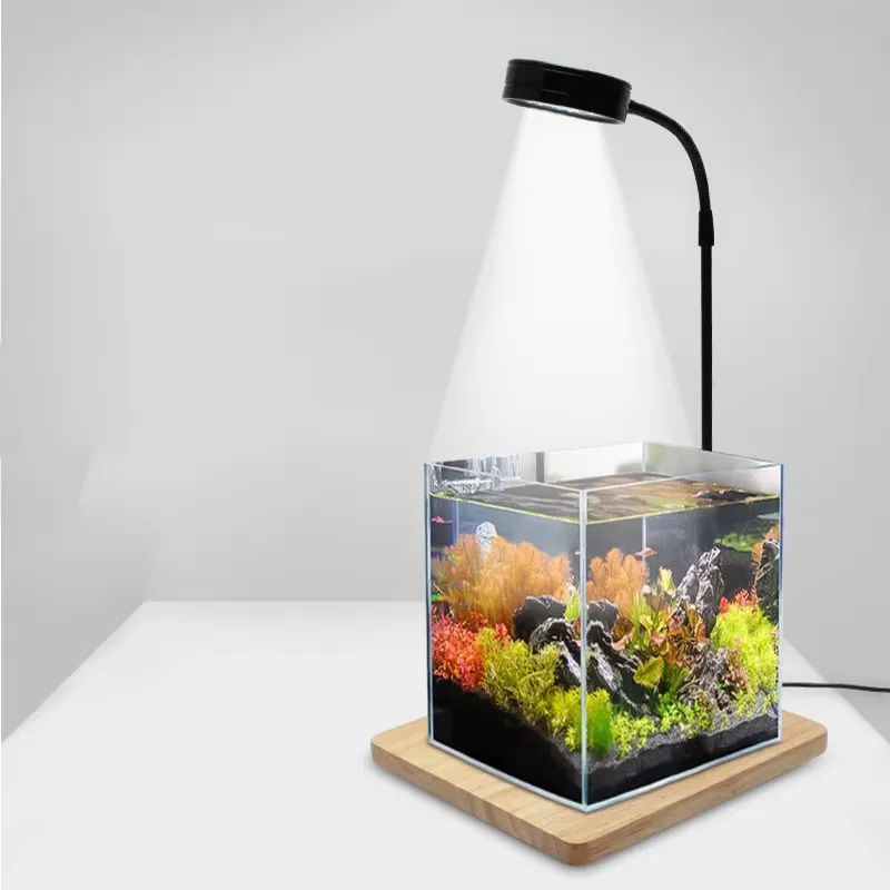 Vollspektrum-LED-Licht mit Leu – Planted Aquarium Betta Bewertung und Preis
