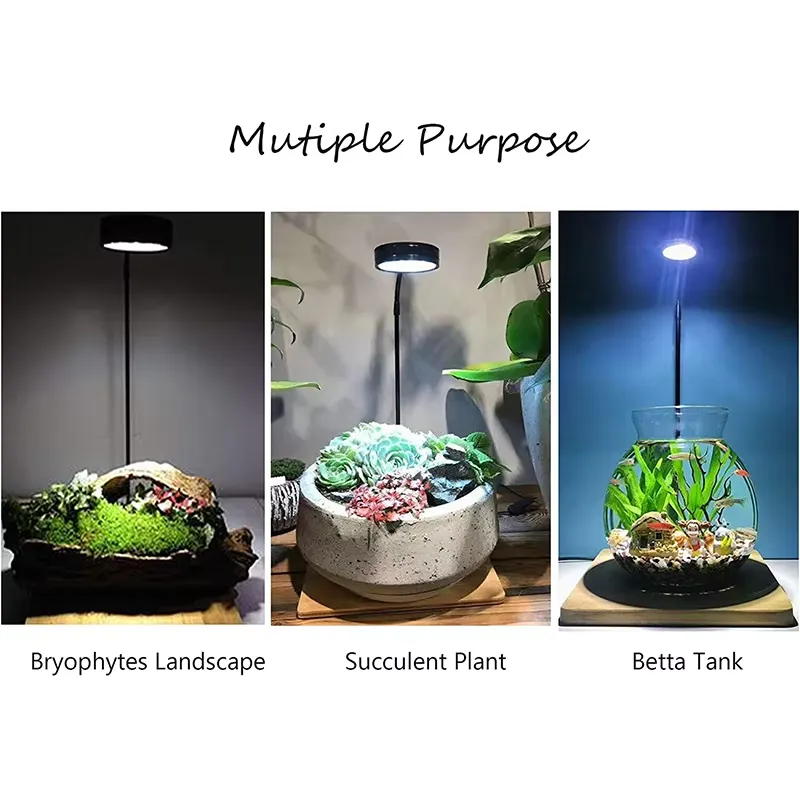 Vollspektrum-LED-Licht mit Leu – Planted Aquarium Betta Bewertung und Preis