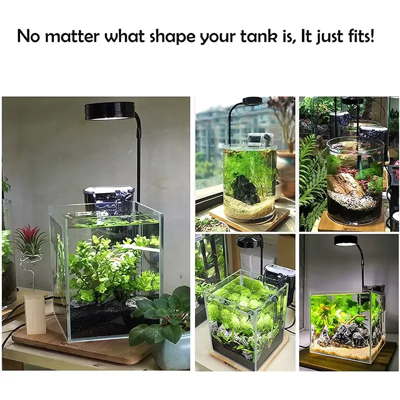 Vollspektrum-LED-Licht mit Leu – Planted Aquarium Betta Bewertung und Preis