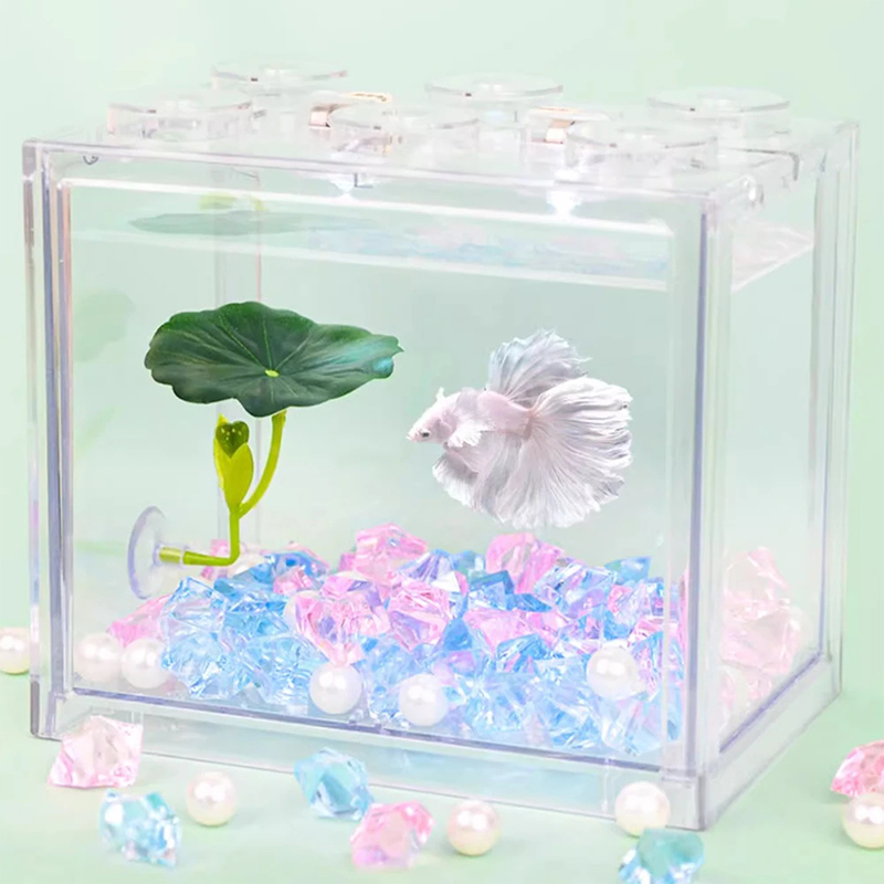Grüne Blatt-Hängematte für Bet – Planted Aquarium Betta Bewertung und Preis