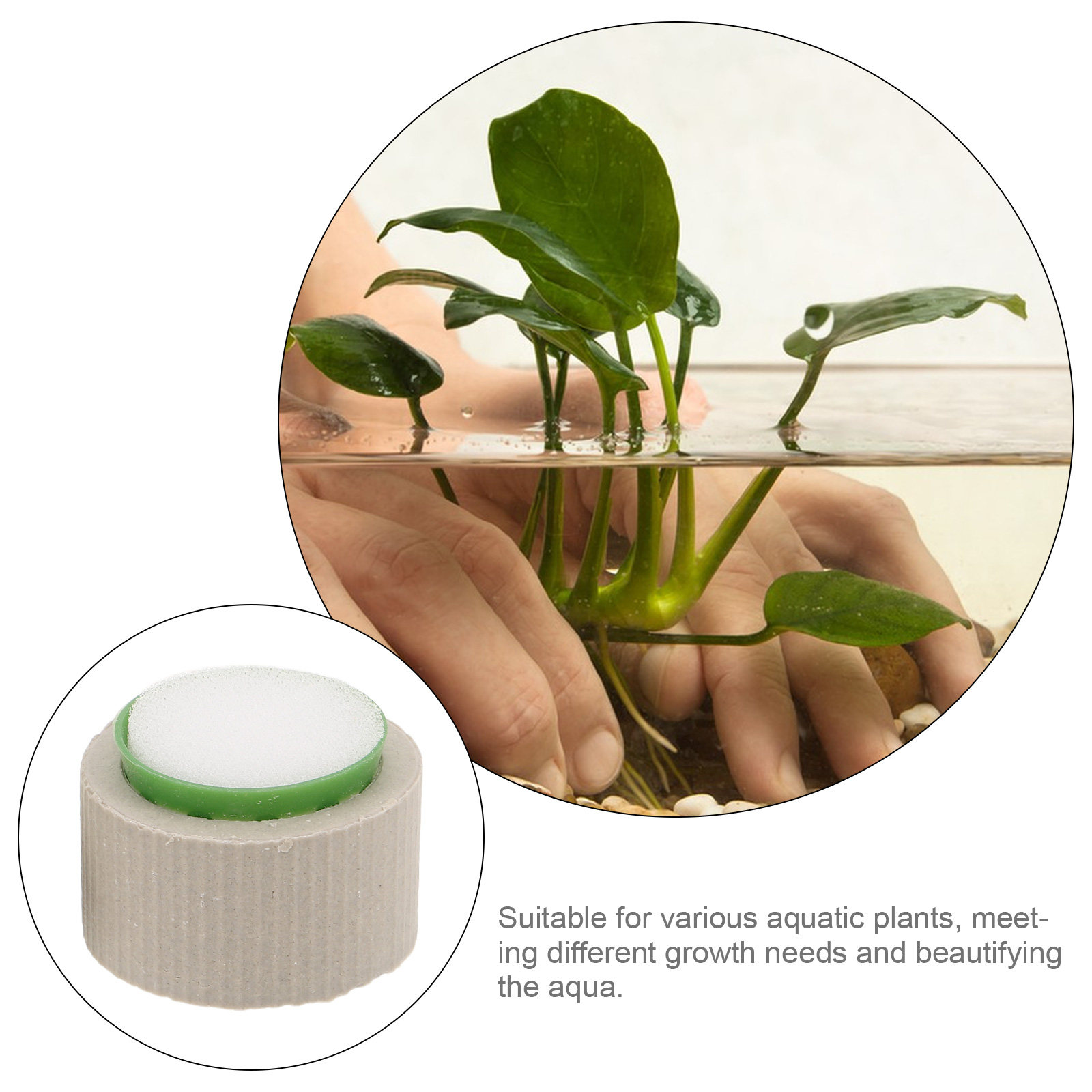 9-teiliges Set Keramik-Aquarie – Aquarium Plant Nutrients Bewertung und Preis