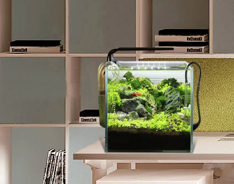 Spirituosen C-Serie ADA-Stil P – Aquarium Plant Diseases Bewertung und Preis