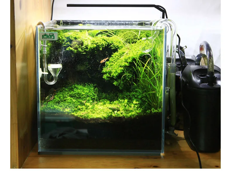 Spirituosen C-Serie ADA-Stil P – Aquarium Plant Diseases Bewertung und Preis