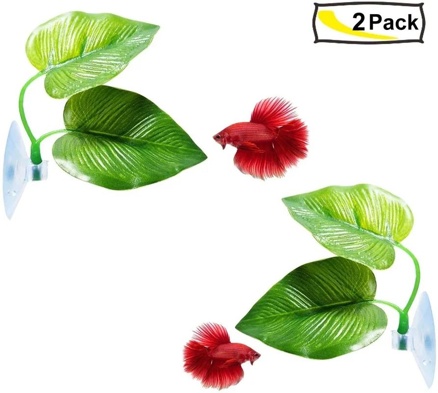 Betta-Fischblatt-Hängematte, d – Planted Aquarium Betta Bewertung und Preis