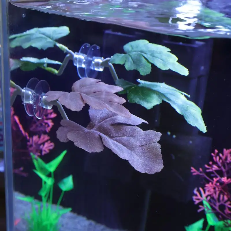 Betta Fischblatt-Hängematte fü – Planted Aquarium Betta Bewertung und Preis