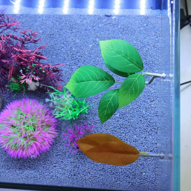 Betta Fischblatt-Hängematte fü – Planted Aquarium Betta Bewertung und Preis