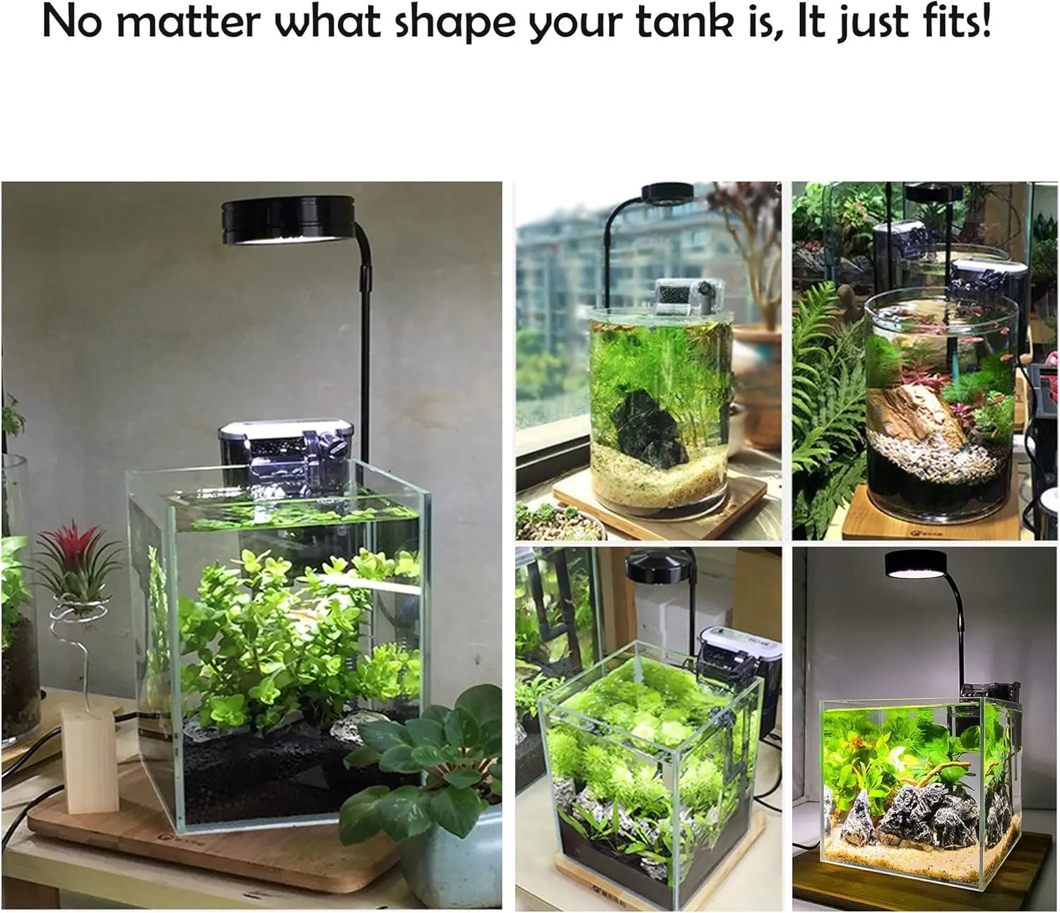 LED-Aquarium-Wachstumslicht mi – Planted Aquarium Betta Bewertung und Preis
