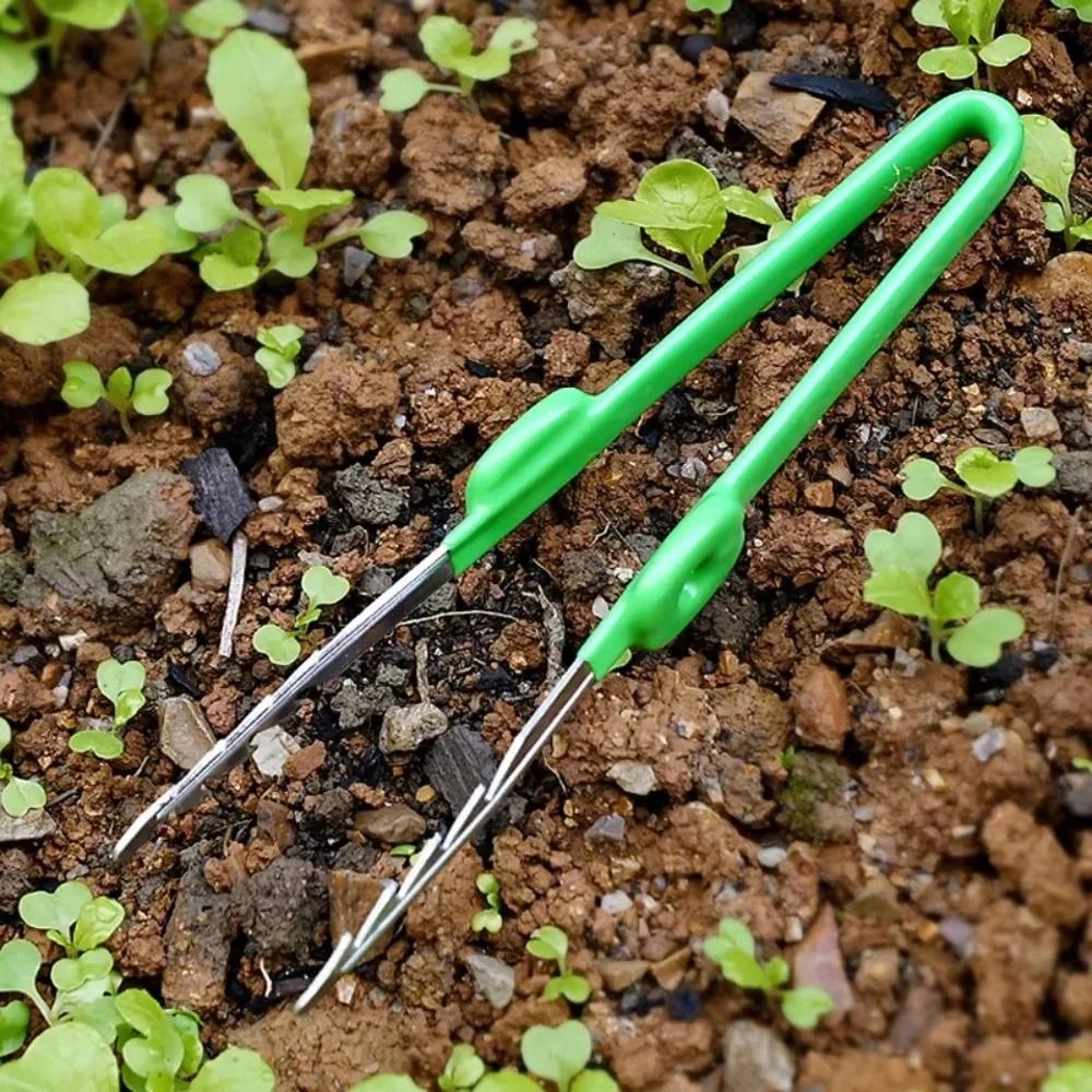 Gartenpinzette aus Edelstahl,  – Planted Clip Tweezers Bewertung und Preis