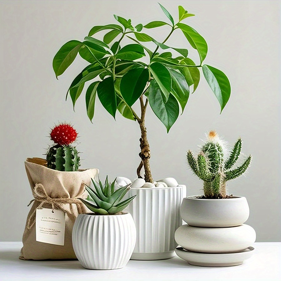 200/400g weiße hochglanzpolier – Aquarium Plants Bewertung und Preis