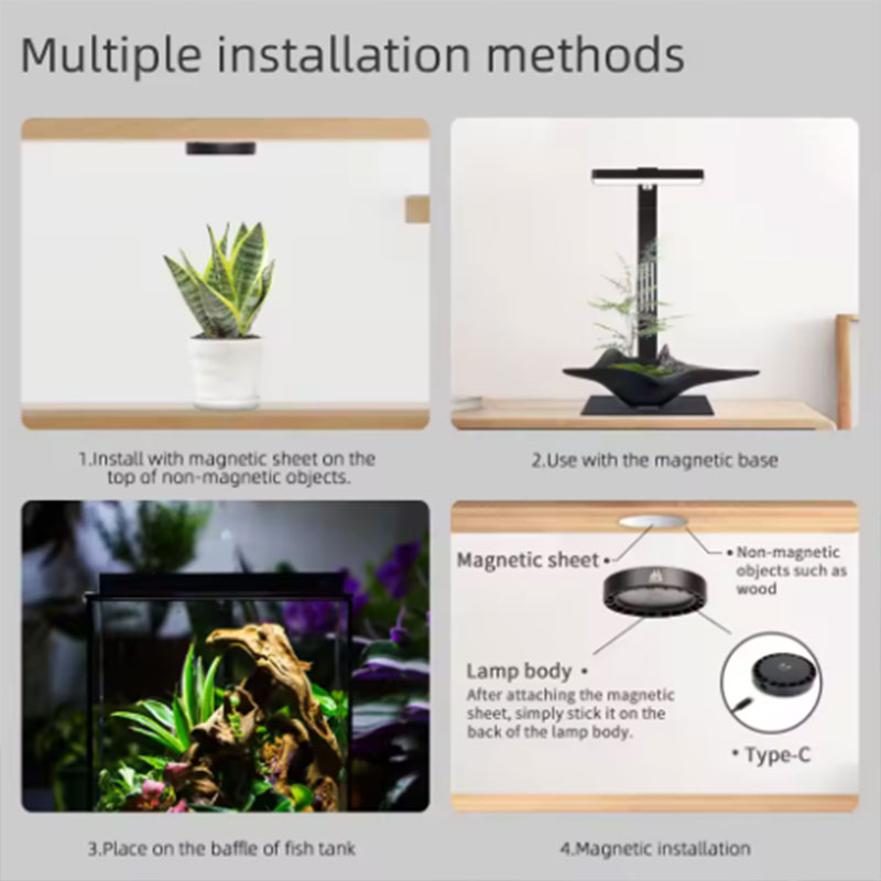WEEK AQUA Mag Pro Mag Max Nano – Aquarium Plant Diseases Bewertung und Preis