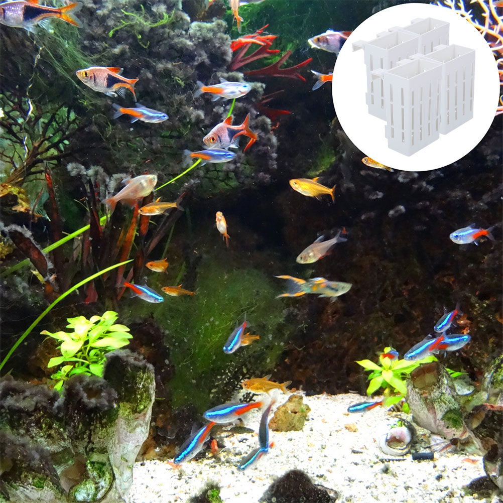 4 Stück Aquarienpflanzenhalter – Aquarium Plant Nutrients Bewertung und Preis