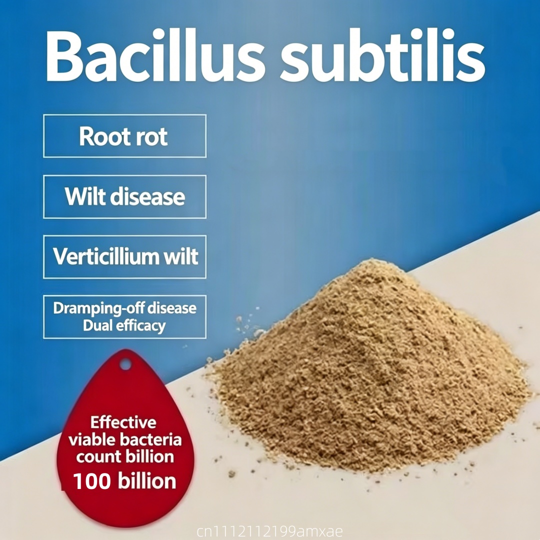 Hochwirksames Bacillus Subtili – Aquarium Planted Soil Bewertung und Preis