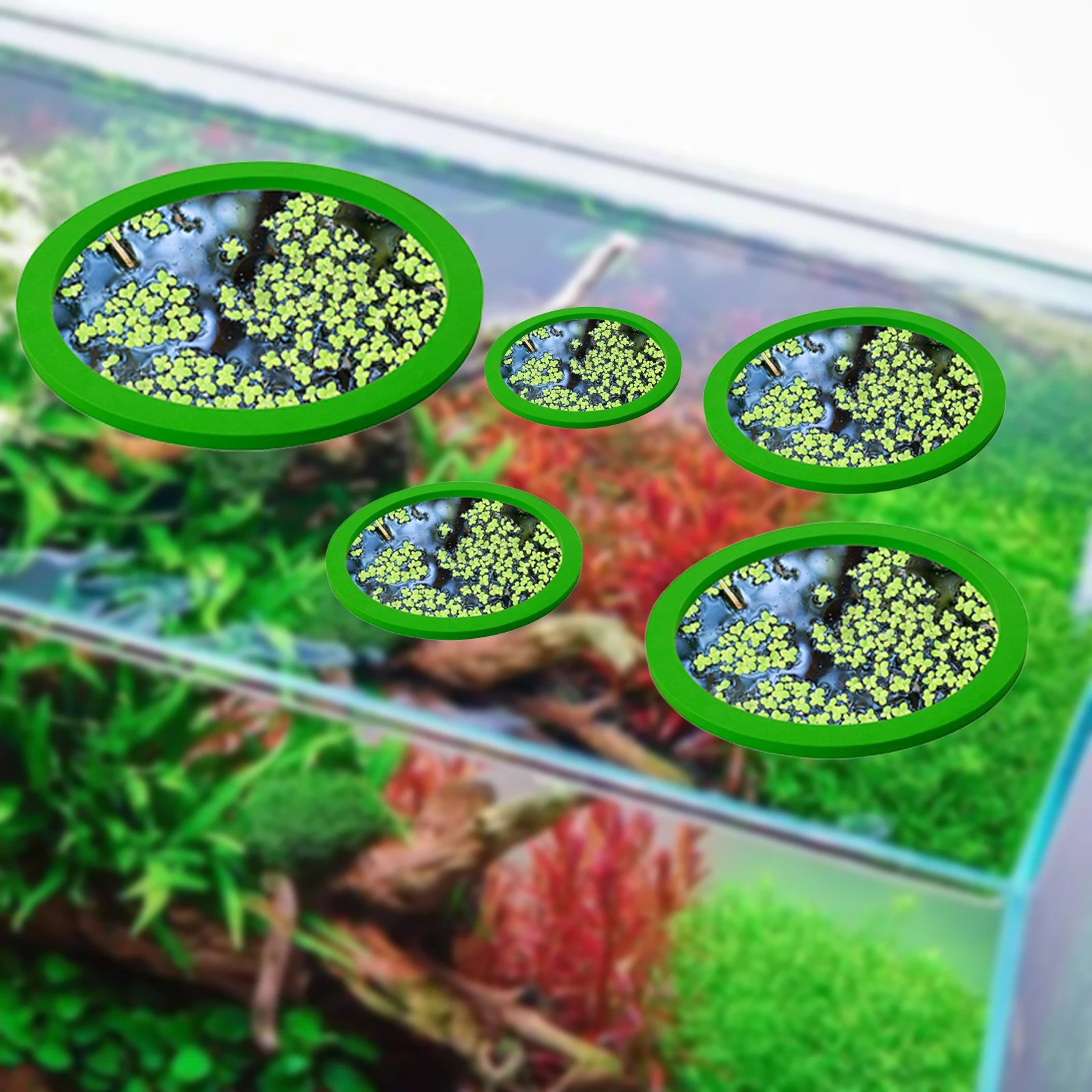5Pcs EVA Fisch Fütterung Ring  – Aquarium Plants Bewertung und Preis