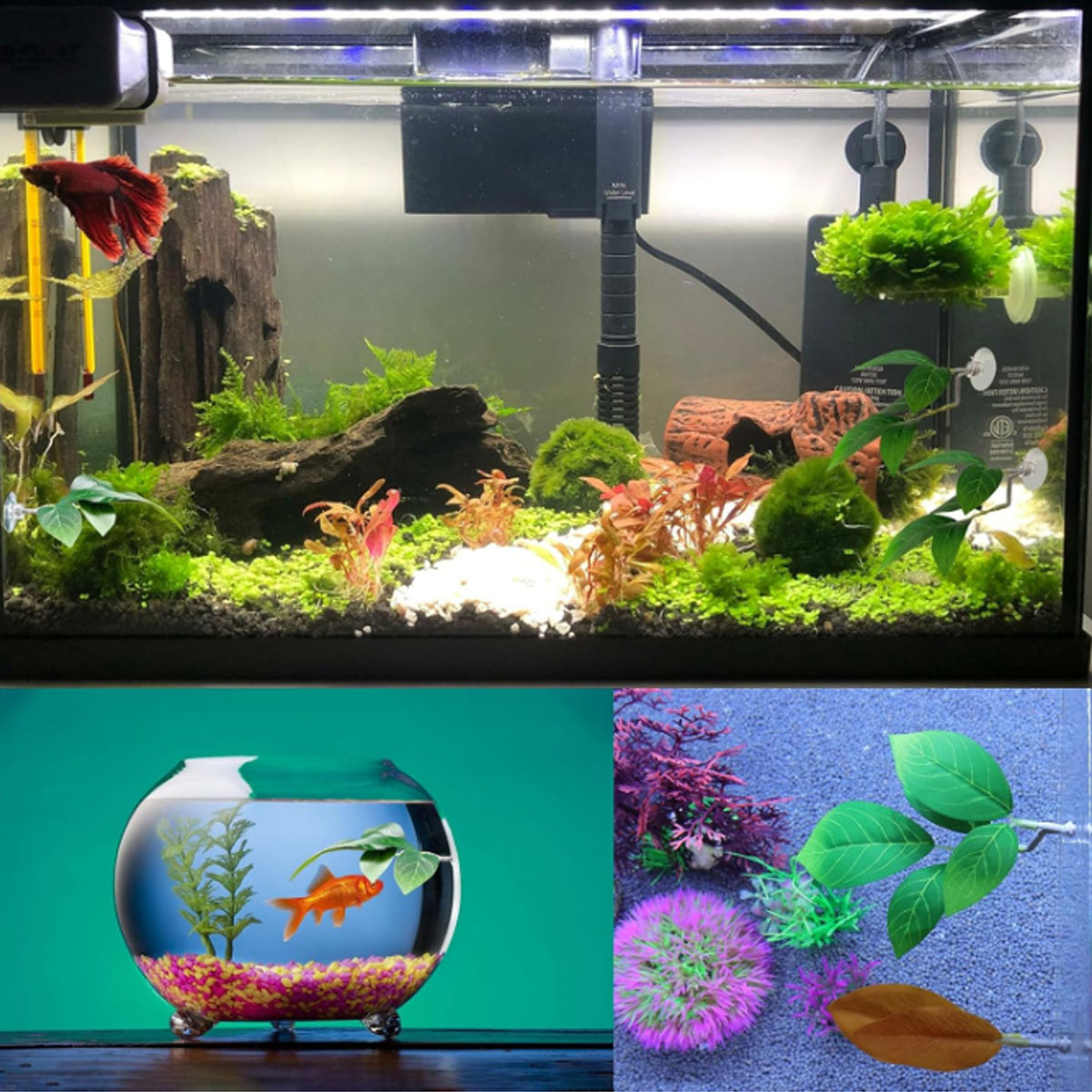 1 Stück Betta-Fisch-Hängematte – Planted Aquarium Betta Bewertung und Preis