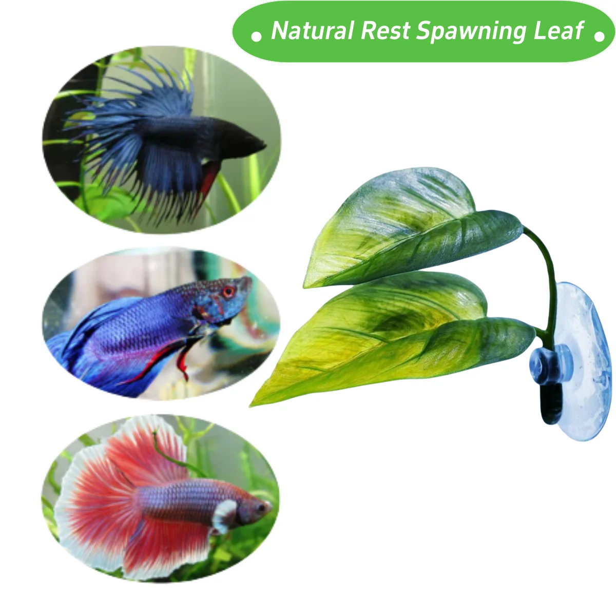 Haustiere Aquarium Dekor Betta – Planted Aquarium Betta Bewertung und Preis