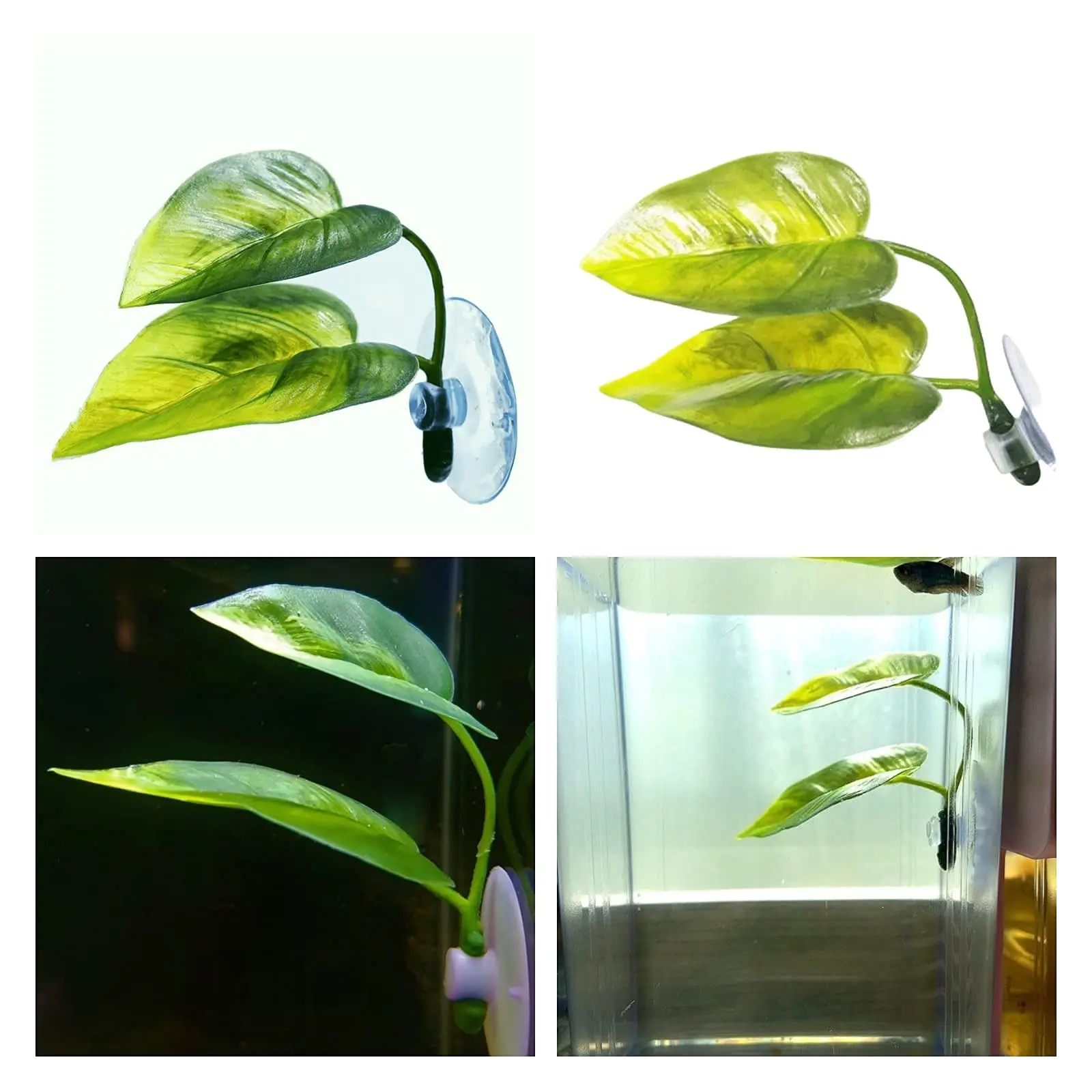 Haustiere Aquarium Dekor Betta – Planted Aquarium Betta Bewertung und Preis