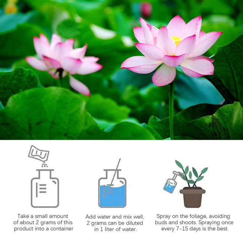 200 g natürliche Seerose, blüh – Aquarium Plant Nutrients Bewertung und Preis