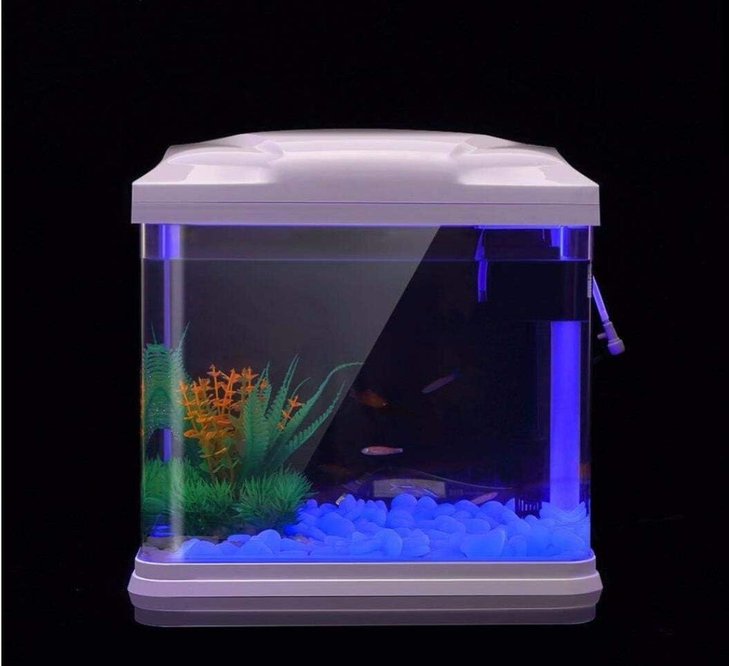Aquarium-Felsen leuchten blaue – Aquarium Plants Bewertung und Preis