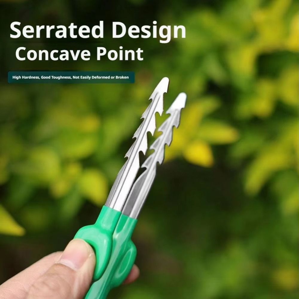Edelstahl-Gartenpinzette Multi – Planted Clip Tweezers Bewertung und Preis