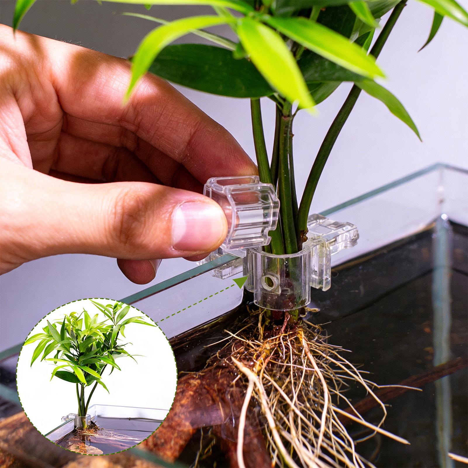 6 Stück Aquarium-Pflanzenhalte – Aquarium Plant Diseases Bewertung und Preis
