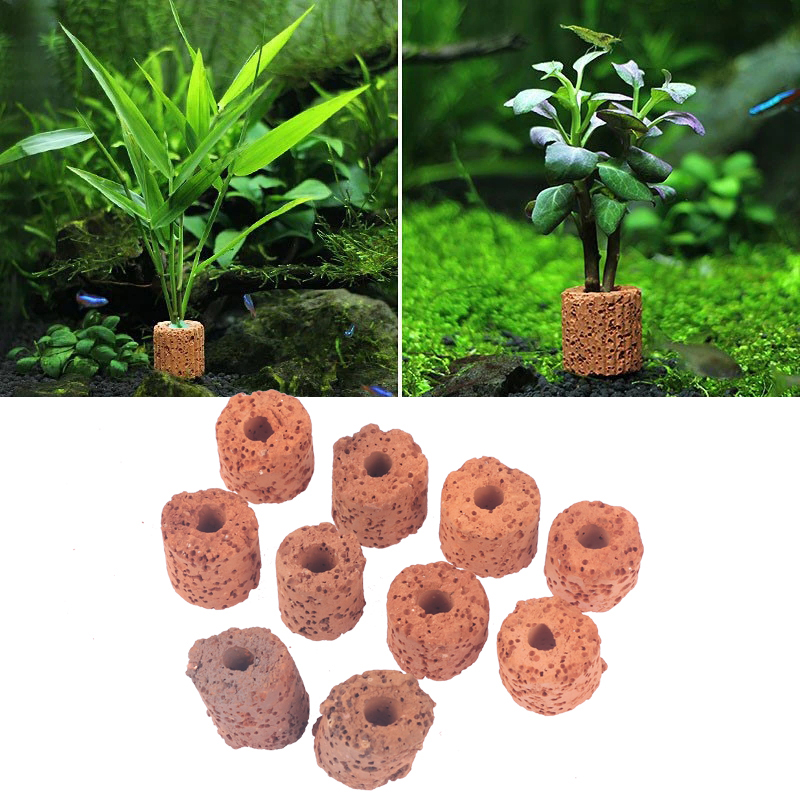 10 Stück Pflanzenringe für Aqu – Planted Aquarium Products Bewertung und Preis