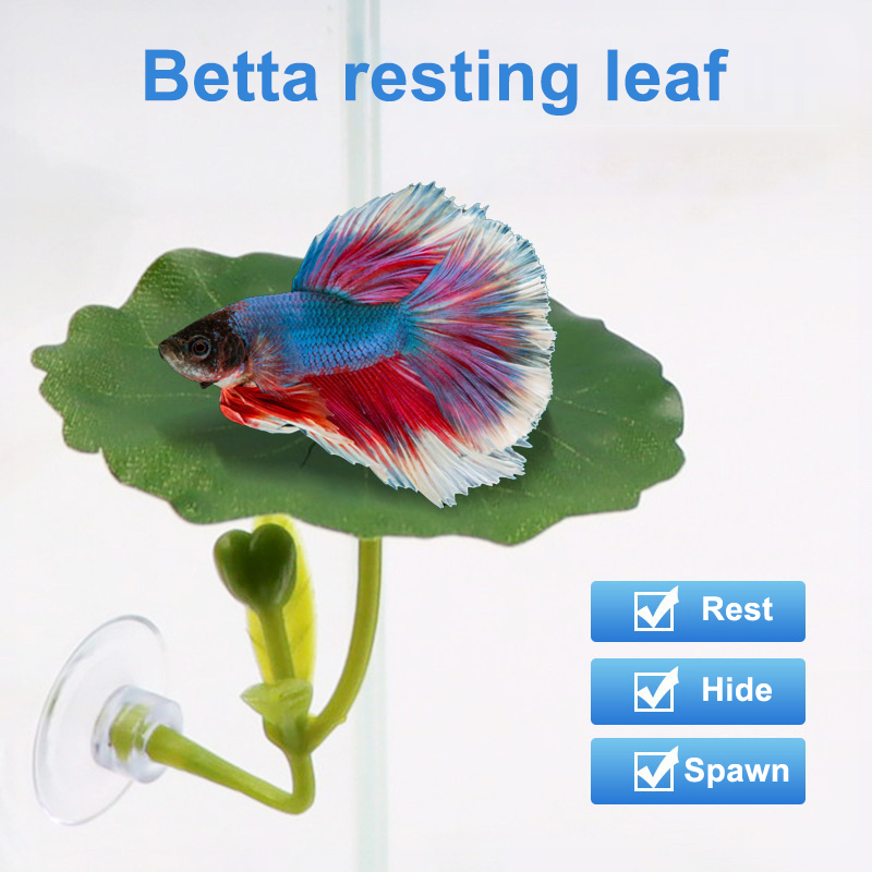 1Pc Green Leaf Hängematte Für  – Planted Aquarium Betta Bewertung und Preis