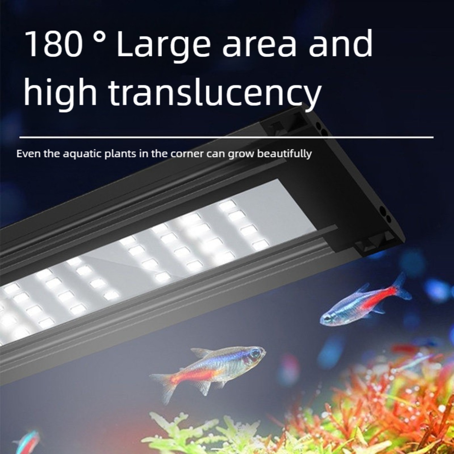 LED-Aquariumbeleuchtung für 12 – Planted Aquarium Freshwater Bewertung und Preis