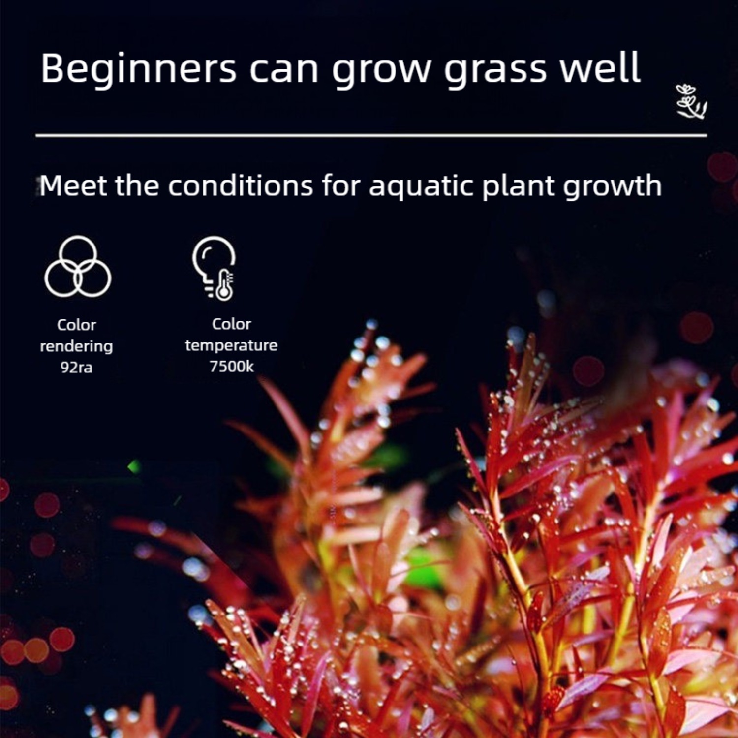 LED-Aquariumbeleuchtung für 12 – Planted Aquarium Freshwater Bewertung und Preis