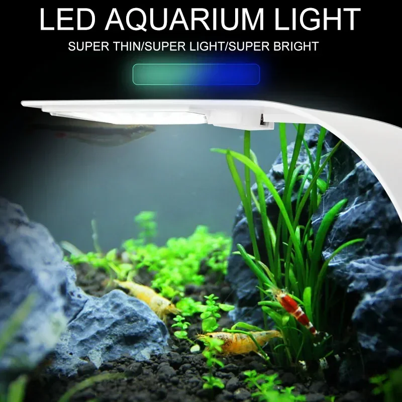 Ultradünnes LED-Aquariumlicht, – Aquarium Plant Diseases Bewertung und Preis