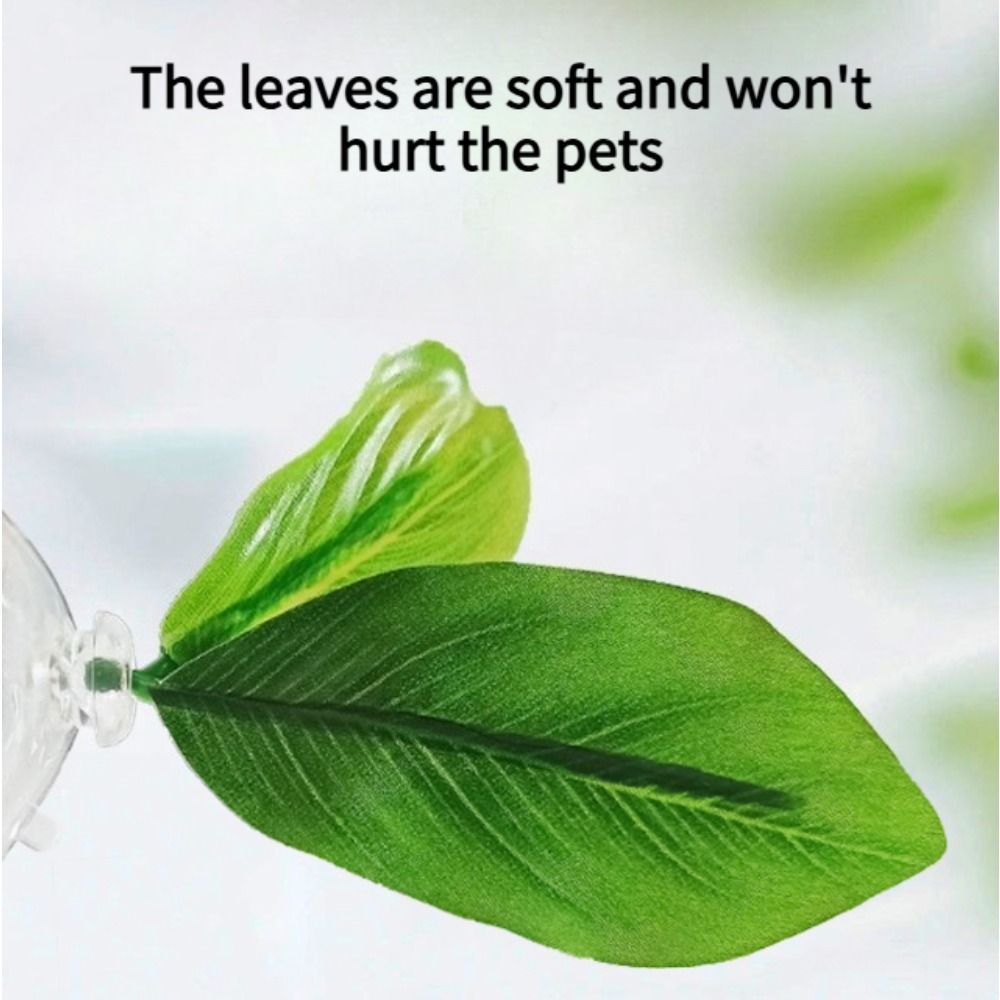 1 Stück Grüne Blatt-Betta-Fisc – Planted Aquarium Betta Bewertung und Preis
